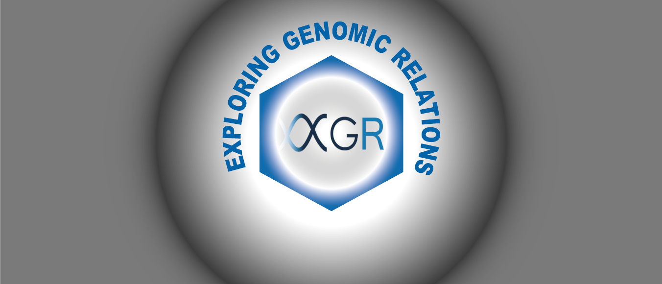 eXploring Genomic Relations